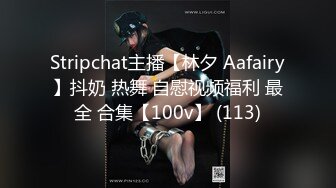 Stripchat主播【林夕 Aafairy】抖奶 热舞 自慰视频福利 最全 合集【100v】 (113)