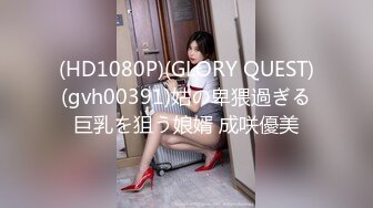 (HD1080P)(GLORY QUEST)(gvh00391)姑の卑猥過ぎる巨乳を狙う娘婿 成咲優美